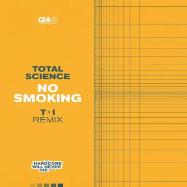 No Smoking (T>I remix)