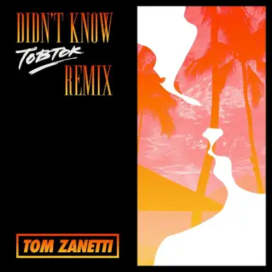 Didn't Know (Tobtok remix)