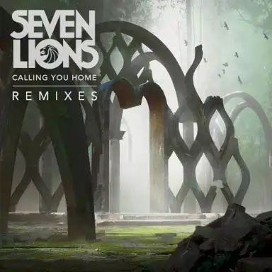 Calling You Home (remixes)