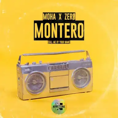 MONTERO (Call Me by Your Name)