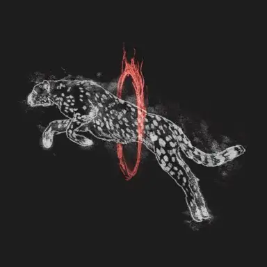 Through Fire