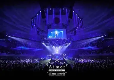 Aimer Live in 武道館 “blanc et noir”