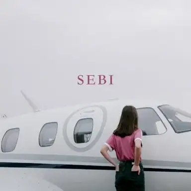 Sebi