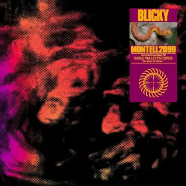 Blicky