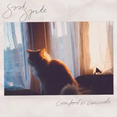 Comfort in Concrete