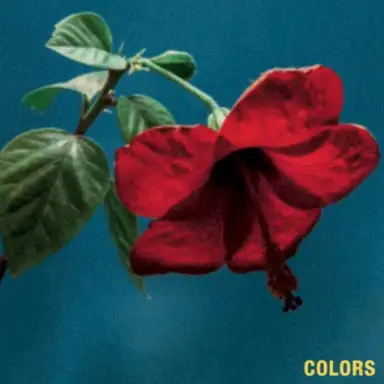 Colors