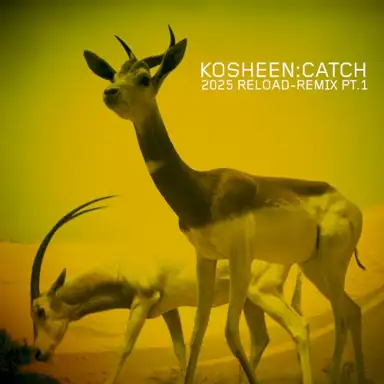 Catch (2025 Reload-Remix, Pt.1)