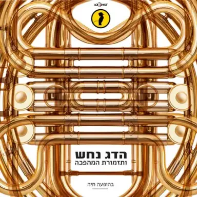 בהופעה חיה