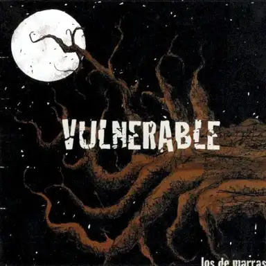 Vulnerable