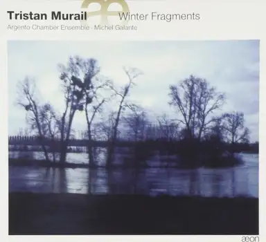 Winter Fragments