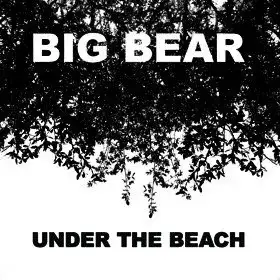 Under The Beach
