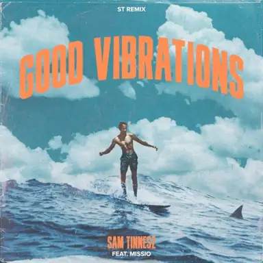 Good Vibrations (ST Remix)