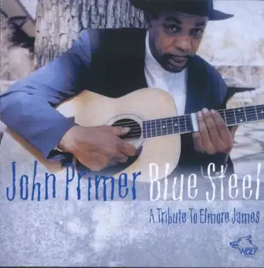 Blue Steel: A Tribute to Elmore James