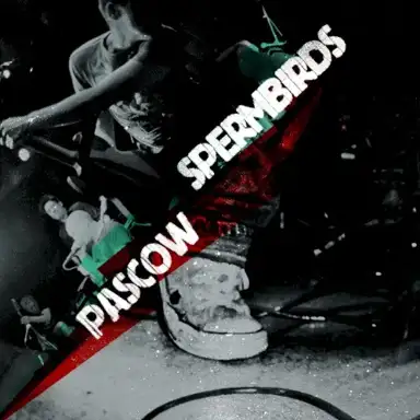 Pascow / Spermbirds