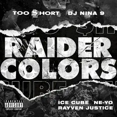 Raider Colors