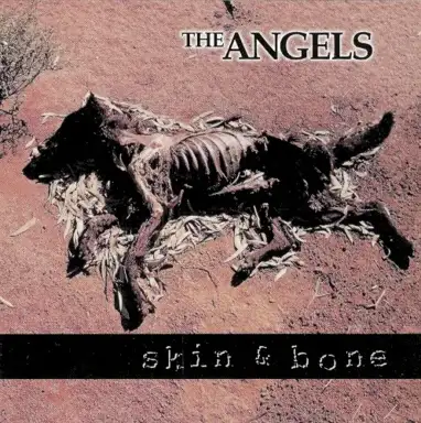 Skin & Bone