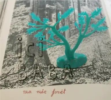Ma mie forêt