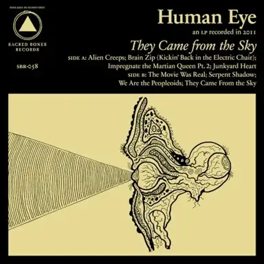 They Came From the Sky