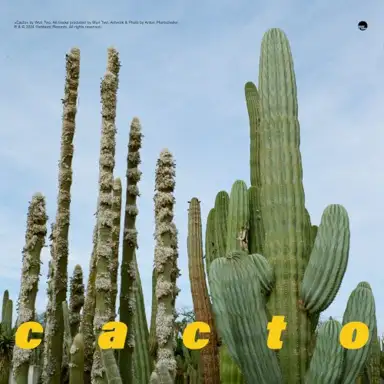 cacto