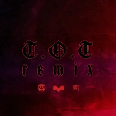 T.O.T (Maxat remix)