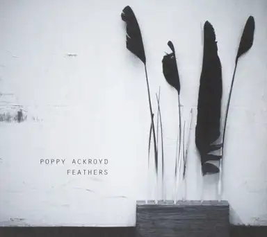 Feathers