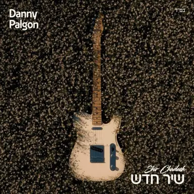 שיר חדש
