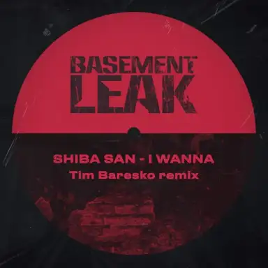 I Wanna (Tim Baresko remix)