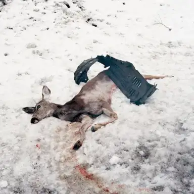 Debemur morti