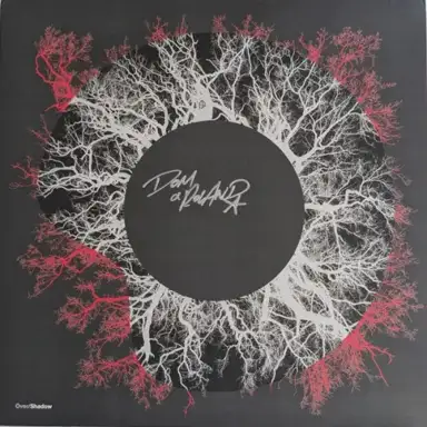 Fever Nights / Stingray