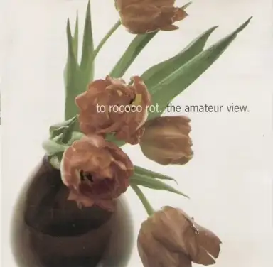 The Amateur View