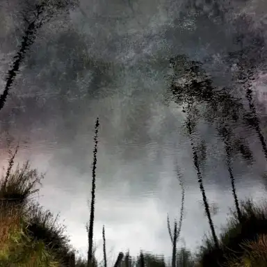 Ghost Woods
