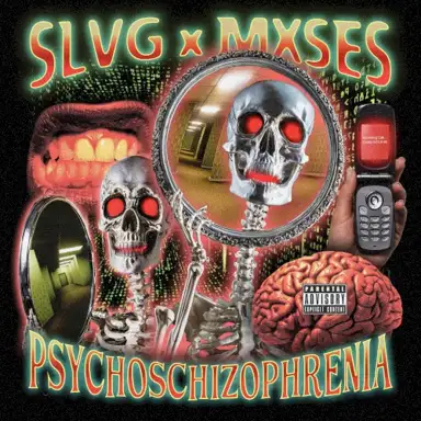 PSYCHOSCHIZOPHRENIA