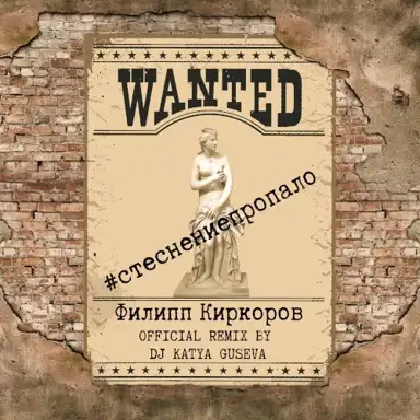 Стеснение пропало (DJ Katya Guseva remix)