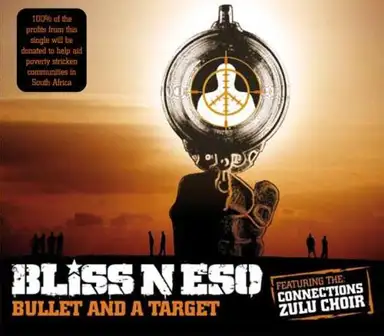 Bullet and a Target