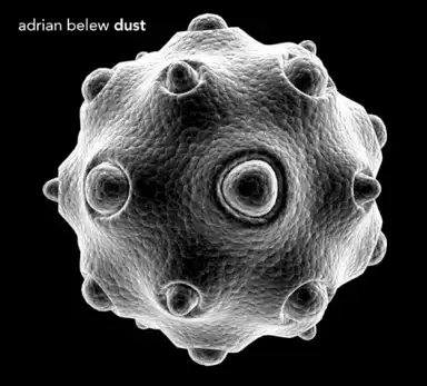 Dust