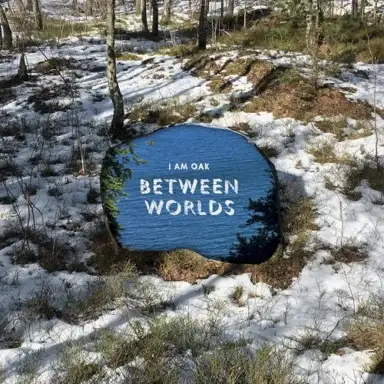Between Worlds