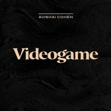 Videogame