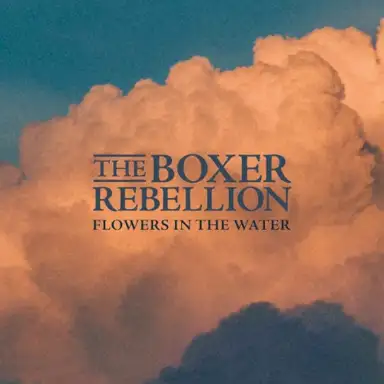 Flowers in the Water