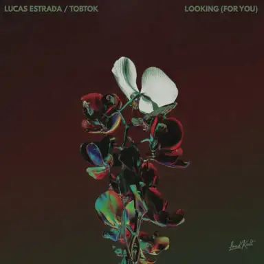 Looking (For You)