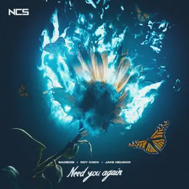 Need You Again
