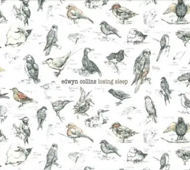 Losing Sleep