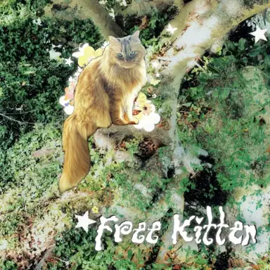 Free Kitten