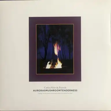 Aurorasmushroomtenderness
