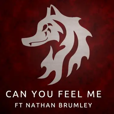 Can You Feel Me