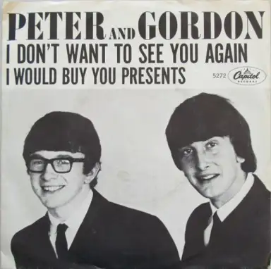 I Don't Want To See You Again