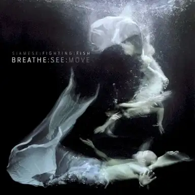 Breathe:See:Move