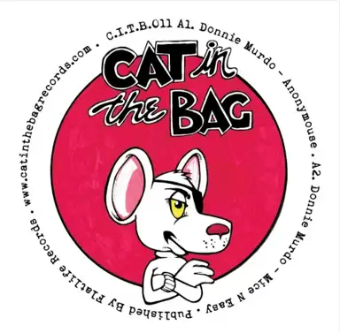 Cat Chasing the Mouse