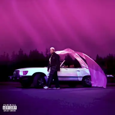 I Just Want My Bitches To Fly