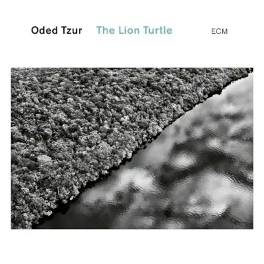 The Lion Turtle