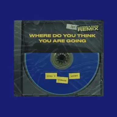 Where Do You Think You Are Going (Harris & Ford remix)